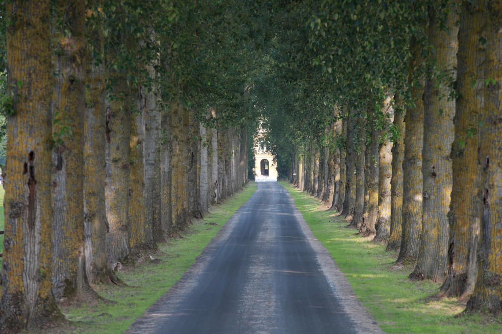 Le Domaine Chateau Du Faucon Donchery Экстерьер фото