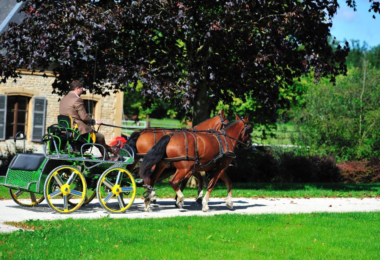 Le Domaine Chateau Du Faucon Donchery Экстерьер фото